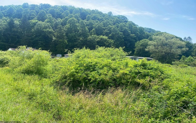 TBD Grass Lick Run, Montrose, West Virginia 26283, ,Lots/land,For Sale,Grass Lick,10154860