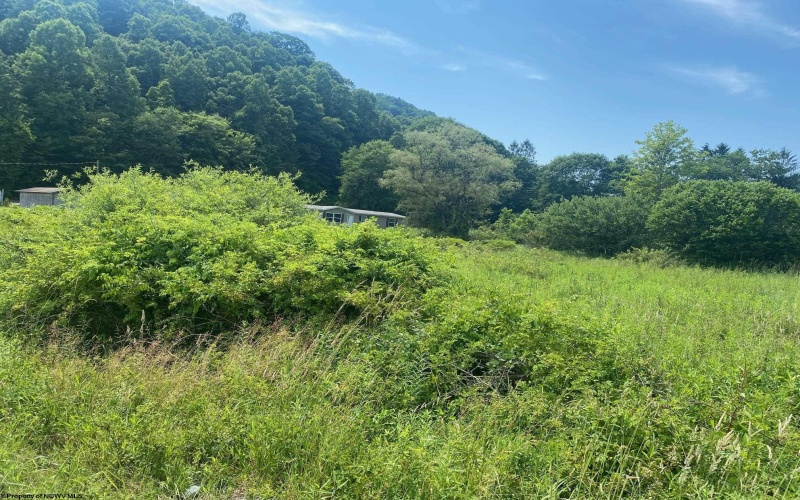 TBD Grass Lick Run, Montrose, West Virginia 26283, ,Lots/land,For Sale,Grass Lick,10154860