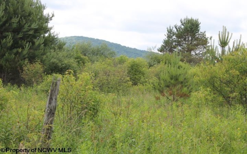 DEGHI Cortland Road, Davis, West Virginia 26260, ,Lots/land,For Sale,Cortland,10154862