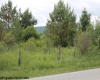 DEGHI Cortland Road, Davis, West Virginia 26260, ,Lots/land,For Sale,Cortland,10154862