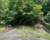 6747 Tallmansville Road, Tallmansville, West Virginia 26237, ,Lots/land,For Sale,Tallmansville,10154863