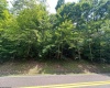 6747 Tallmansville Road, Tallmansville, West Virginia 26237, ,Lots/land,For Sale,Tallmansville,10154863