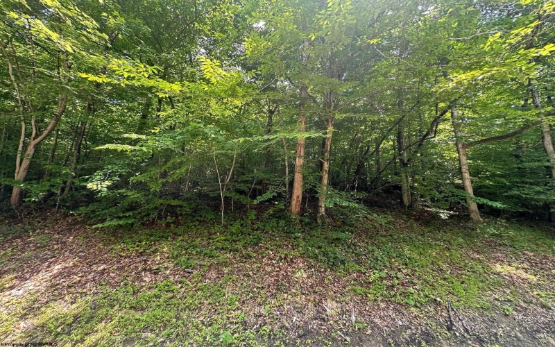 6747 Tallmansville Road, Tallmansville, West Virginia 26237, ,Lots/land,For Sale,Tallmansville,10154863