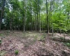 6747 Tallmansville Road, Tallmansville, West Virginia 26237, ,Lots/land,For Sale,Tallmansville,10154863