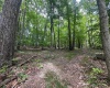 6747 Tallmansville Road, Tallmansville, West Virginia 26237, ,Lots/land,For Sale,Tallmansville,10154863