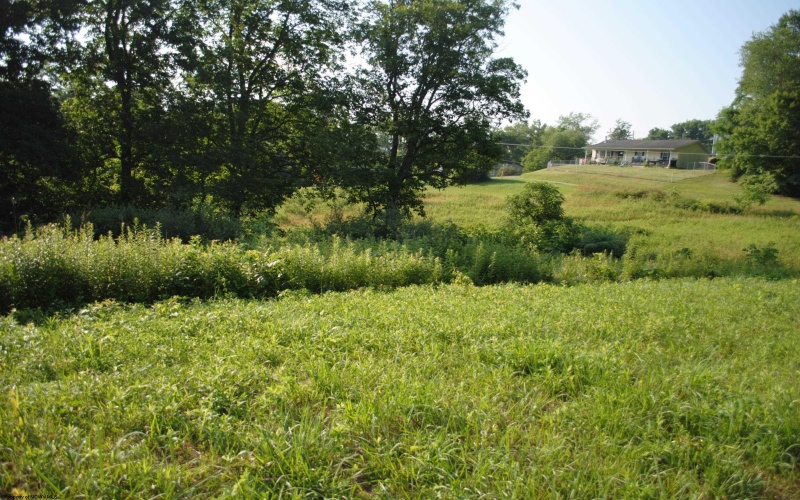 TBD Rohrbough Street, Belington, West Virginia 26250, ,Lots/land,For Sale,Rohrbough,10154942