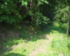 TBD Rohrbough Street, Belington, West Virginia 26250, ,Lots/land,For Sale,Rohrbough,10154942