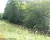 Lot 2 Northlake Development Drive, Davis, West Virginia 26260, ,Lots/land,For Sale,Northlake Development,10110786