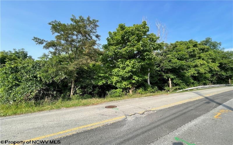 0 Brownfield Road, Hopwood, Pennsylvania 15445, ,Lots/land,For Sale,Brownfield,10155044