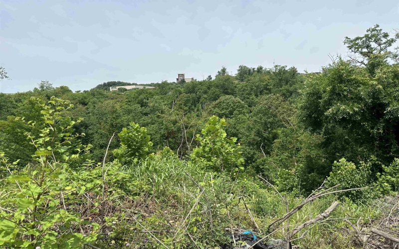 Lot 57 Off Scotts Run Road, Osage, West Virginia 26543, ,Lots/land,For Sale,Off Scotts Run,10155087