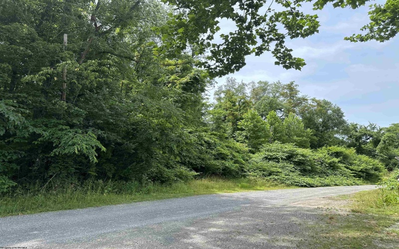 Lot 57 Off Scotts Run Road, Osage, West Virginia 26543, ,Lots/land,For Sale,Off Scotts Run,10155087