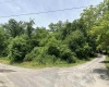 Lot 53 Tunnel Street, Osage, West Virginia 26543, ,Lots/land,For Sale,Tunnel,10155090