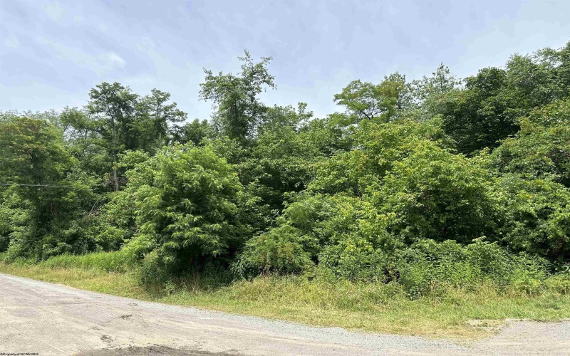 Lot 53 Tunnel Street, Osage, West Virginia 26543, ,Lots/land,For Sale,Tunnel,10155090