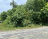 Lot 53 Tunnel Street, Osage, West Virginia 26543, ,Lots/land,For Sale,Tunnel,10155090