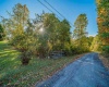 Harner Run 35.52ac Road, Morgantown, West Virginia 26508, ,Lots/land,For Sale,Harner Run 35.52ac,10134680