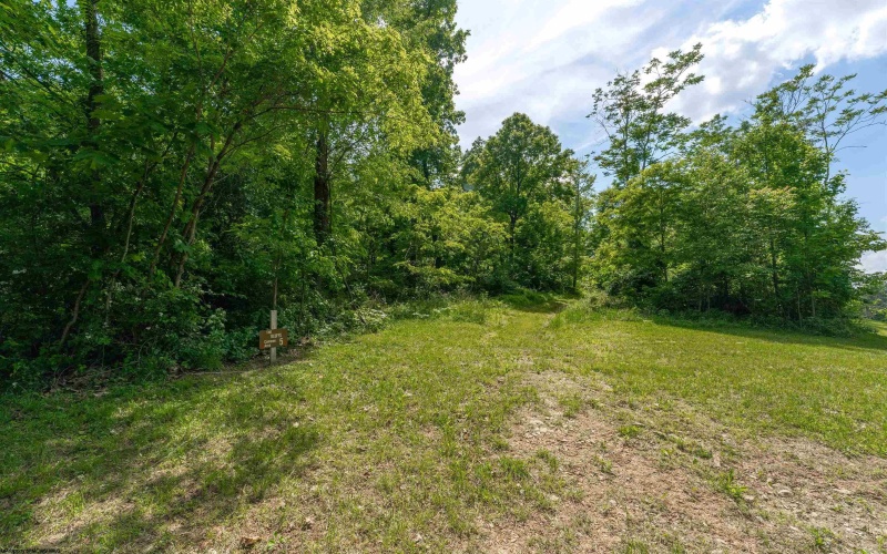 Lot 4 Bear Butte Way, Morgantown, West Virginia 26508, ,Lots/land,For Sale,Bear Butte,10155111