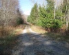 lot 49 Mountain View Road Drive, Davis, West Virginia 26260, ,Lots/land,For Sale,Mountain View Road,10135105