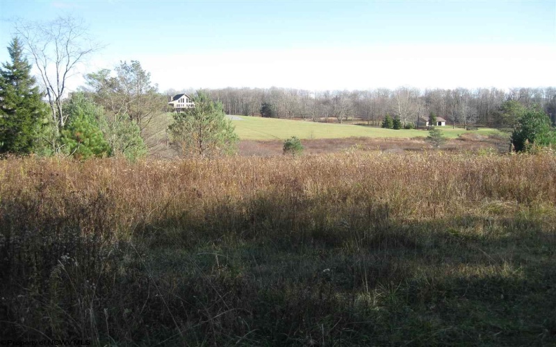 lot 49 Mountain View Road Drive, Davis, West Virginia 26260, ,Lots/land,For Sale,Mountain View Road,10135105