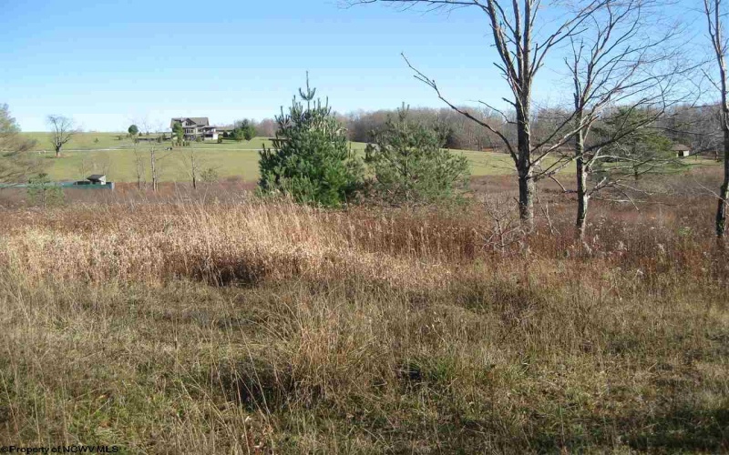 lot 49 Mountain View Road Drive, Davis, West Virginia 26260, ,Lots/land,For Sale,Mountain View Road,10135105