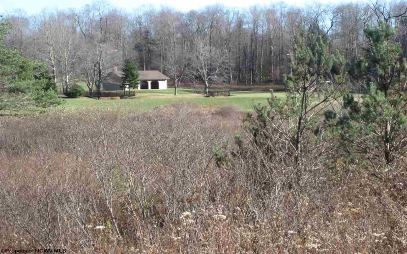 lot 49 Mountain View Road Drive, Davis, West Virginia 26260, ,Lots/land,For Sale,Mountain View Road,10135105