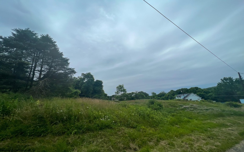 TBD Grindstone Road, Grindstone, Pennsylvania 15442, ,Lots/land,For Sale,Grindstone,10144469