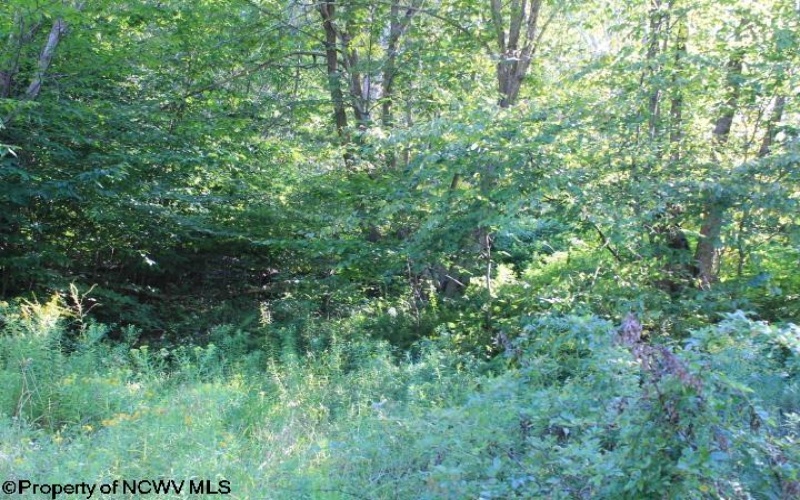 Tract 34 Rocky Road, Harman, West Virginia 26270, ,Lots/land,For Sale,Rocky,10151044