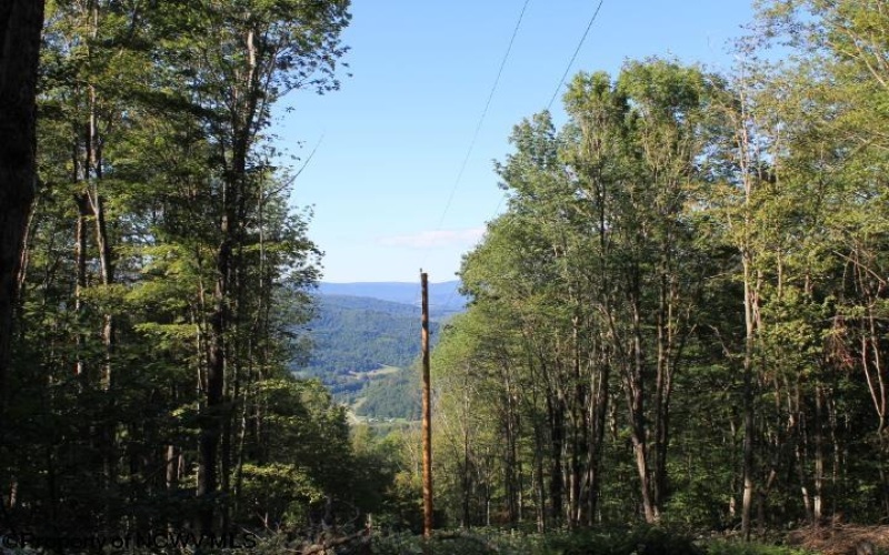 Tract 34 Rocky Road, Harman, West Virginia 26270, ,Lots/land,For Sale,Rocky,10151044