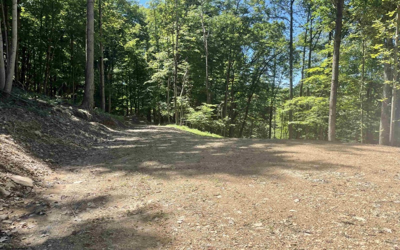 2998 Owl Creek Road, Morgantown, West Virginia 26508, ,Lots/land,For Sale,Owl Creek,10155155