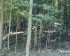 2998 Owl Creek Road, Morgantown, West Virginia 26508, ,Lots/land,For Sale,Owl Creek,10155155