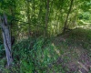 1125 Canyon Road, Morgantown, West Virginia 26508, ,Lots/land,For Sale,Canyon,10155196