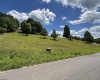 16 Deer Creek Lane, Buckhannon, West Virginia 26201, ,Lots/land,For Sale,Deer Creek,10155319