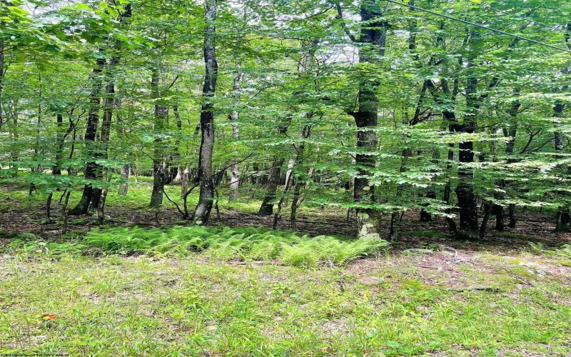 Lot 120 Hemlock Circle, Terra Alta, West Virginia 26764, ,Lots/land,For Sale,Hemlock,10155325