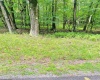 Lot 120 Hemlock Circle, Terra Alta, West Virginia 26764, ,Lots/land,For Sale,Hemlock,10155325