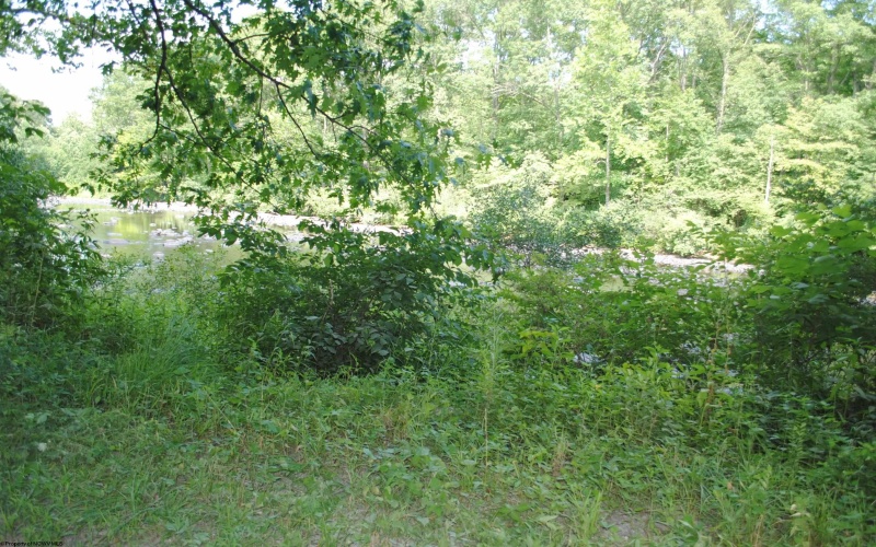 TBD River Road, Belington, West Virginia 26250, ,Lots/land,For Sale,River,10155342