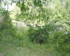 TBD River Road, Belington, West Virginia 26250, ,Lots/land,For Sale,River,10155342