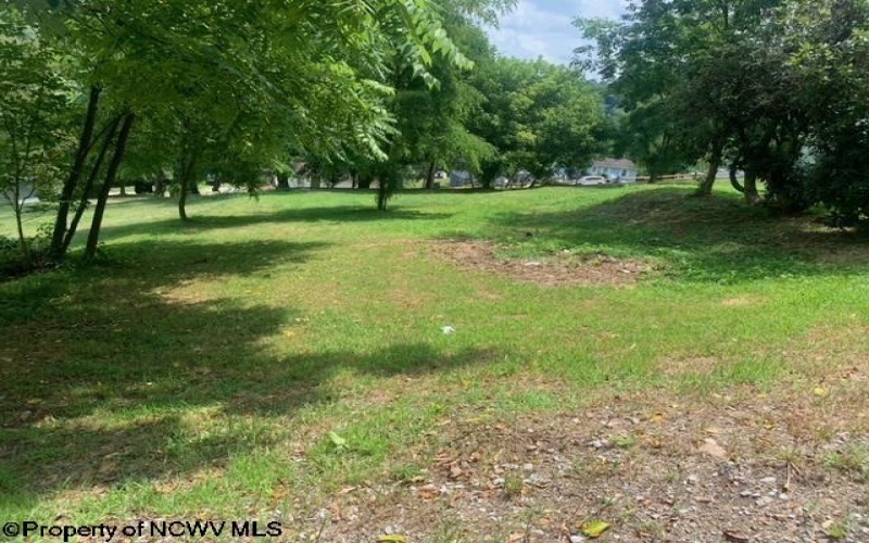 254 Third Street, Belington, West Virginia 26250, ,Lots/land,For Sale,Third,10155371