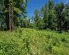 Lot 15 Bowers Lane, Morgantown, West Virginia 26508, ,Lots/land,For Sale,Bowers,10155366