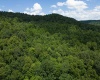 1 Burnt Bridge Road, Ellamore, West Virginia 26267, ,Lots/land,For Sale,Burnt Bridge,10155383