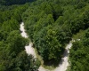 1 Burnt Bridge Road, Ellamore, West Virginia 26267, ,Lots/land,For Sale,Burnt Bridge,10155383