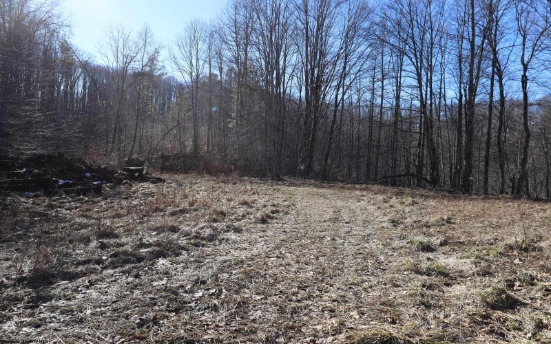 TBD King Summit Road, Coalton, West Virginia 26257, ,Lots/land,For Sale,King Summit,10152738