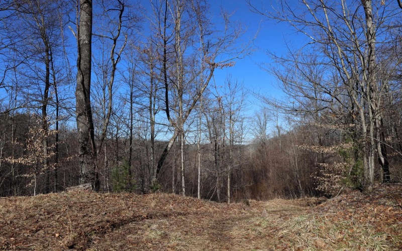 TBD King Summit Road, Coalton, West Virginia 26257, ,Lots/land,For Sale,King Summit,10152738