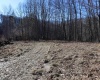 TBD King Summit Road, Coalton, West Virginia 26257, ,Lots/land,For Sale,King Summit,10152738