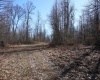 TBD King Summit Road, Coalton, West Virginia 26257, ,Lots/land,For Sale,King Summit,10152738