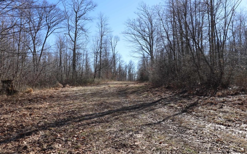 TBD King Summit Road, Coalton, West Virginia 26257, ,Lots/land,For Sale,King Summit,10152738