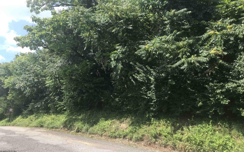 Parcel 321 Lorentz Avenue, Morgantown, West Virginia 26505, ,Lots/land,For Sale,Lorentz,10155447