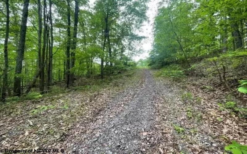 TBD Gee Lick Road, Weston, West Virginia 26452, ,Lots/land,For Sale,Gee Lick,10155459