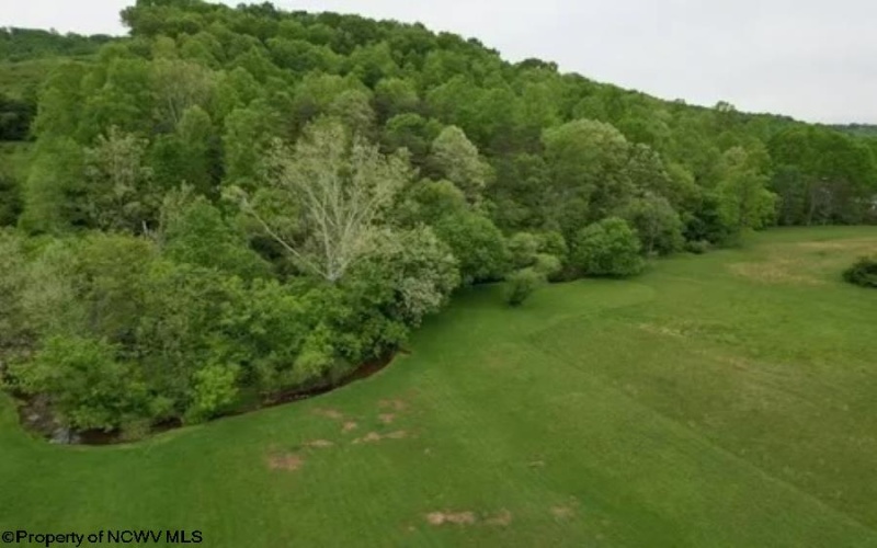 TBD Gee Lick Road, Weston, West Virginia 26452, ,Lots/land,For Sale,Gee Lick,10155459