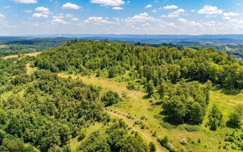 0 Red Oak Lane, Morgantown, West Virginia 26501, ,Lots/land,For Sale,Red Oak,10155471