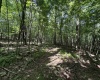 0 Camp Mountaineer Road, Morgantown, West Virginia 26508, ,Lots/land,For Sale,Camp Mountaineer,10155476