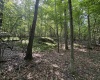 0 Camp Mountaineer Road, Morgantown, West Virginia 26508, ,Lots/land,For Sale,Camp Mountaineer,10155476